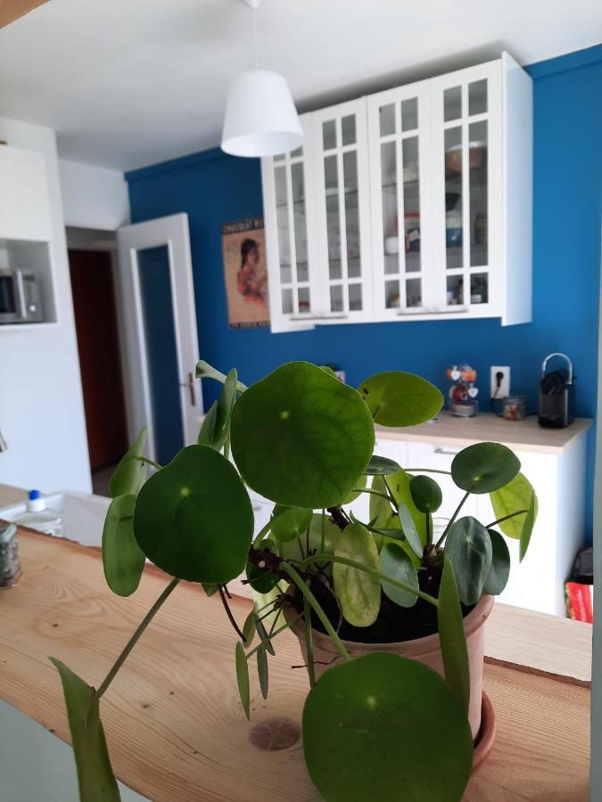 Proche Avec Grand Balcon Apartamento *